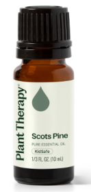 Pine Scots Essential Oil 10 mL